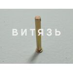 Палец отжимного рычага МТЗ 70-1601096 с/о /аналог/ - Магазин Витязь