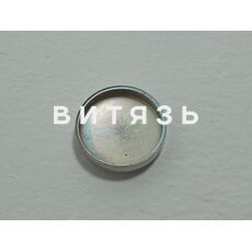 Заглушка 260-1003016 головки МТЗ-1221 /Беларусь/ - Магазин Витязь