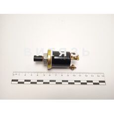 ВК 314 Выключатель Кнопка 3-х клеммная (Т-150, ГАЗ-66) (уп.10шт) AVTOELECTRICA - Магазин Витязь