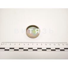 Заглушка 240-1003027-А2 головки МТЗ  сталь /аналог/ - Магазин Витязь