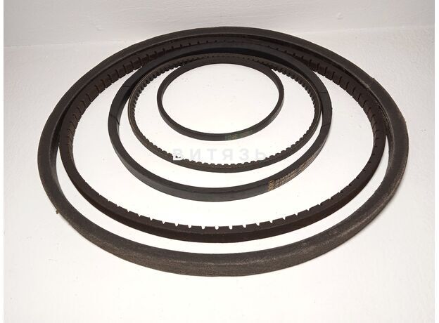 1900-С(В) Ремень "Ярославль" - Магазин Витязь